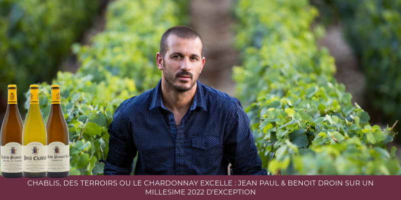 Chablis, des terroirs où le Chardonnay excelle : Jean Paul & Benoît Droin sur un millésime 2022 d'exception